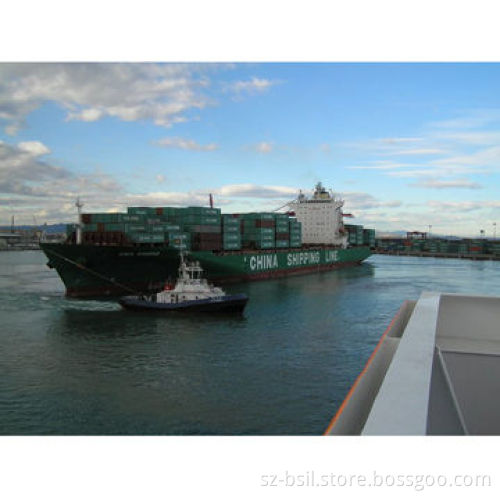 Professional to the US shipping company